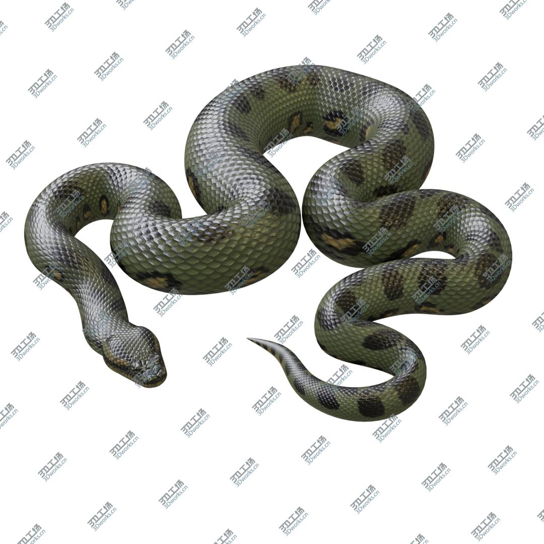 images/goods_img/20210319/3D model Animated Green Anaconda/1.jpg